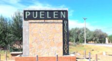 puelen1