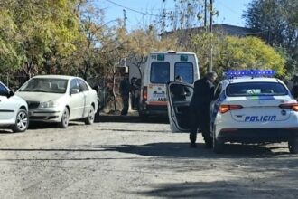 Catriel: perros sueltos provocaron accidente. Mujer resultó con fractura expuesta