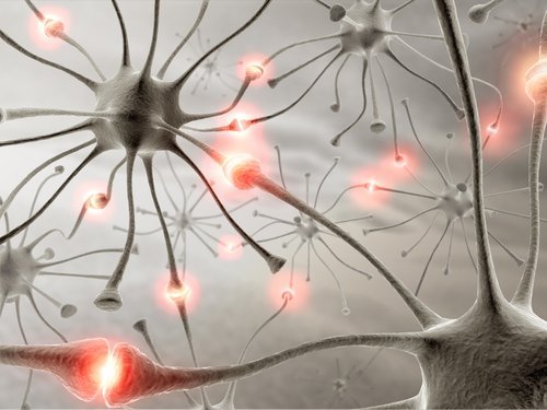 Neuronas