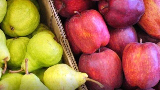 manzanas peras