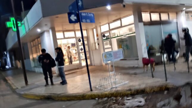 farmacia del sol1