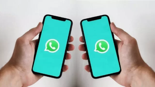 WATSAPP ACOMPAÑANTE