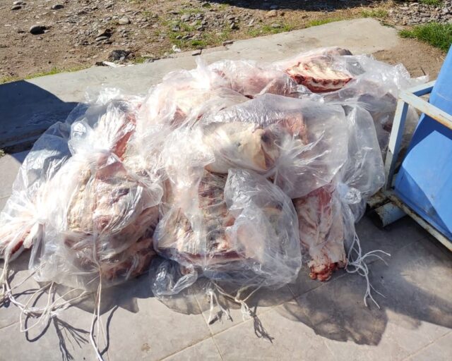 CARNE CATRIEL