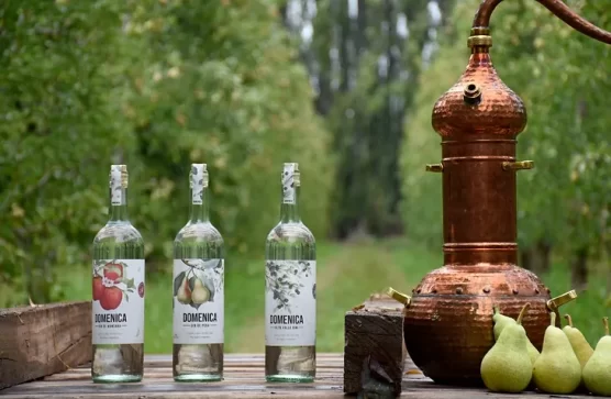 «Domenica»: El gin que se destaca en el Alto Valle de Rio Negro y Neuquén
