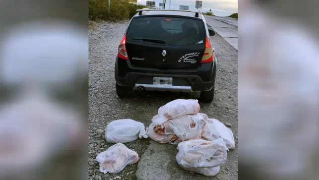 La región en alerta por Ántrax: decomisaron más de 130 kilos de carne en Puente Dique