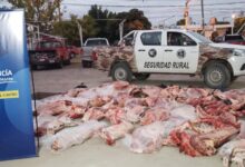 , Puente Dique: decomisan 1.600 kilos de carne