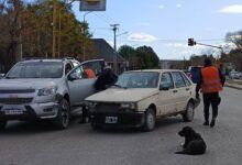 Catriel: Incidente de tránsito. Daños materiales