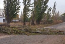 Catriel: el viento causó daños. Como sigue el clima