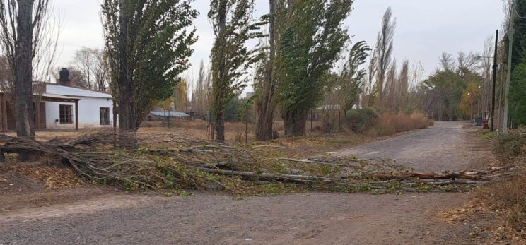 Catriel: el viento causó daños. Como sigue el clima