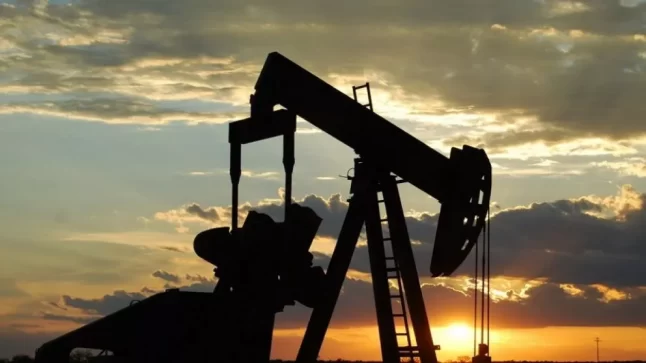 Petróleos Sudamericanos operará yacimiento en Neuquén