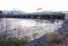 Lluvias: este lunes el Río Colorado tendrá mayor caudal