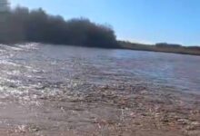 Crecida del Río Colorado: hay evacuados y trabajan para evitar el avance del agua