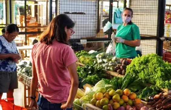 Del productor a la góndola. Consumidor paga 3,5 veces más