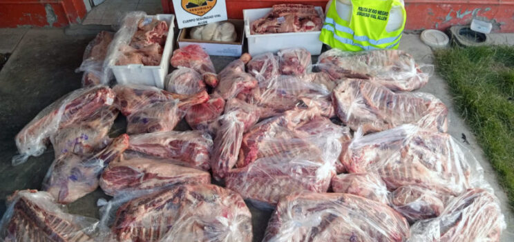 Decomisan carne en Allen a hombre de Catriel