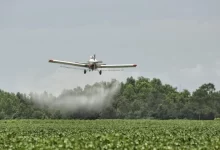 Día de la lucha contra los agrotóxicos: la esperanza está en el cultivo agroecológico