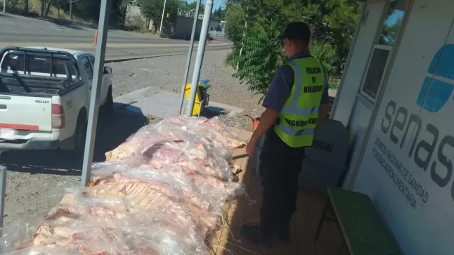 Catriel: persecución y decomiso de carne ilegal