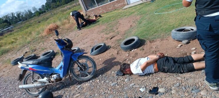 Robo al vivero municipal: dos detenidos