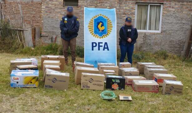Catriel: policías allanan plantación de Marihuana