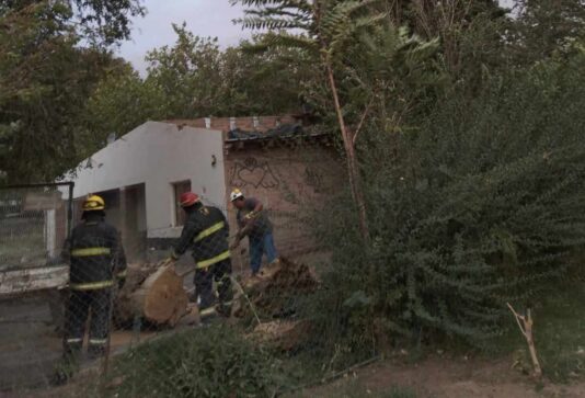 Catriel: el fuerte viento provocó daños
