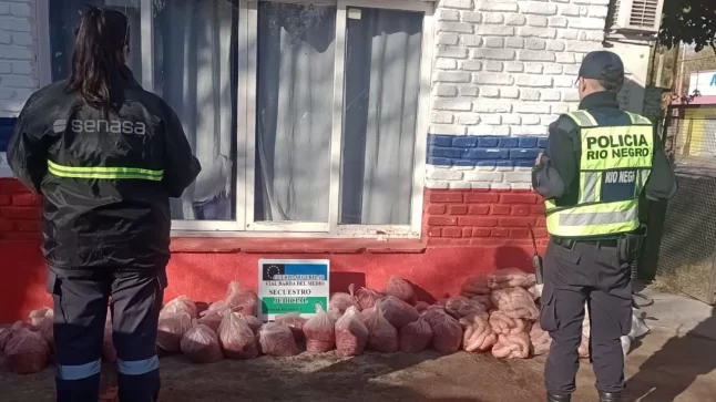 Decomisan cargamento ilegal de alimentos sobre la Ruta Nacional 151