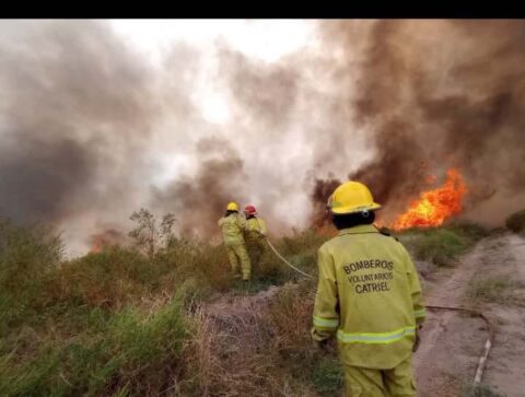 Catriel: incendios descontrolados ponen en riesgo viviendas