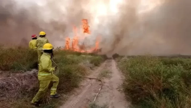 Peñas Blancas: Un incendio afectó cerca de 500 metros de una línea de electricidad
