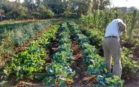 Catriel: este sábado será la 1° Expo Feria productiva