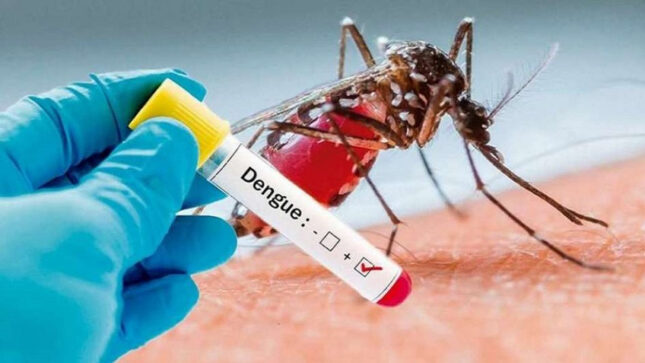 Catriel: viajó a Buenos Aires y contrajo Dengue