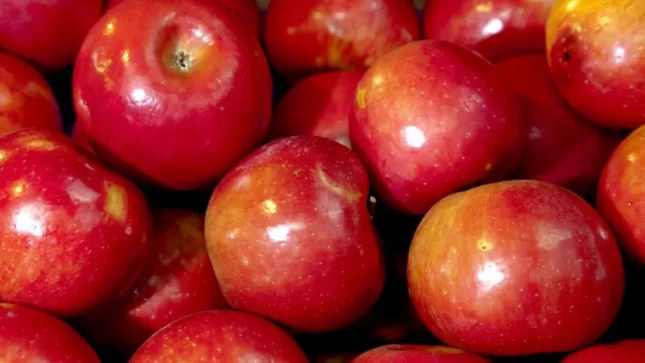 Educación: No había manzanas podridas