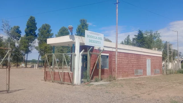25 de Mayo: Bodega del Desierto despidió a operarios