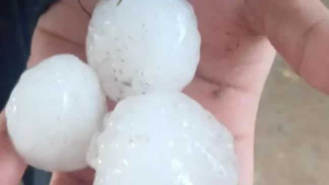 El granizo castigó al Alto Valle: daños en chacras y temor por la producción