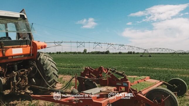Catriel agrícola: Municipio firma convenio con productores