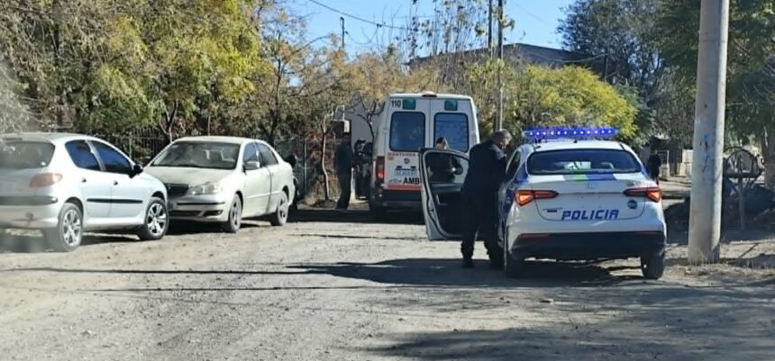 Catriel: perros sueltos provocaron accidente. Mujer resultó con fractura expuesta