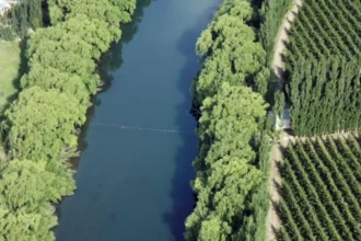 “En 10 años Río Negro va a estar todo verde”, aseguró un funcionario nacional