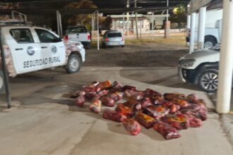 25 de Mayo: Secuestran casi 400 kilos de carne equina y detienen a un hombre por resistencia a la autoridad