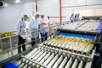 RIMI: qué implica para el desarrollo productivo de Río Negro