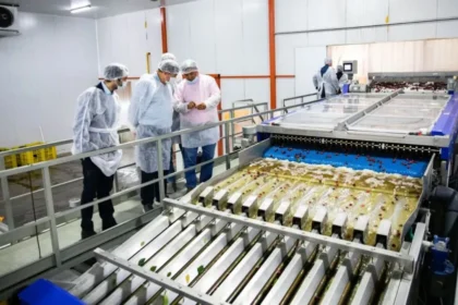RIMI: qué implica para el desarrollo productivo de Río Negro