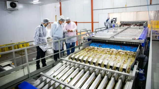 RIMI: qué implica para el desarrollo productivo de Río Negro