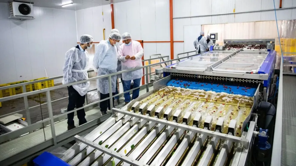RIMI: qué implica para el desarrollo productivo de Río Negro