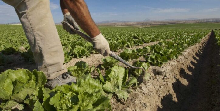 Catriel se prepara para la Expo Agro 2026. Habrá concurso de asadores