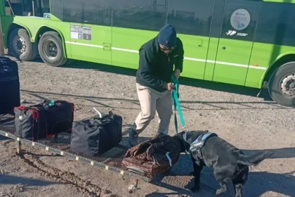 Se evitó el ingreso a la Patagonia de casi 85 toneladas de productos en infracción