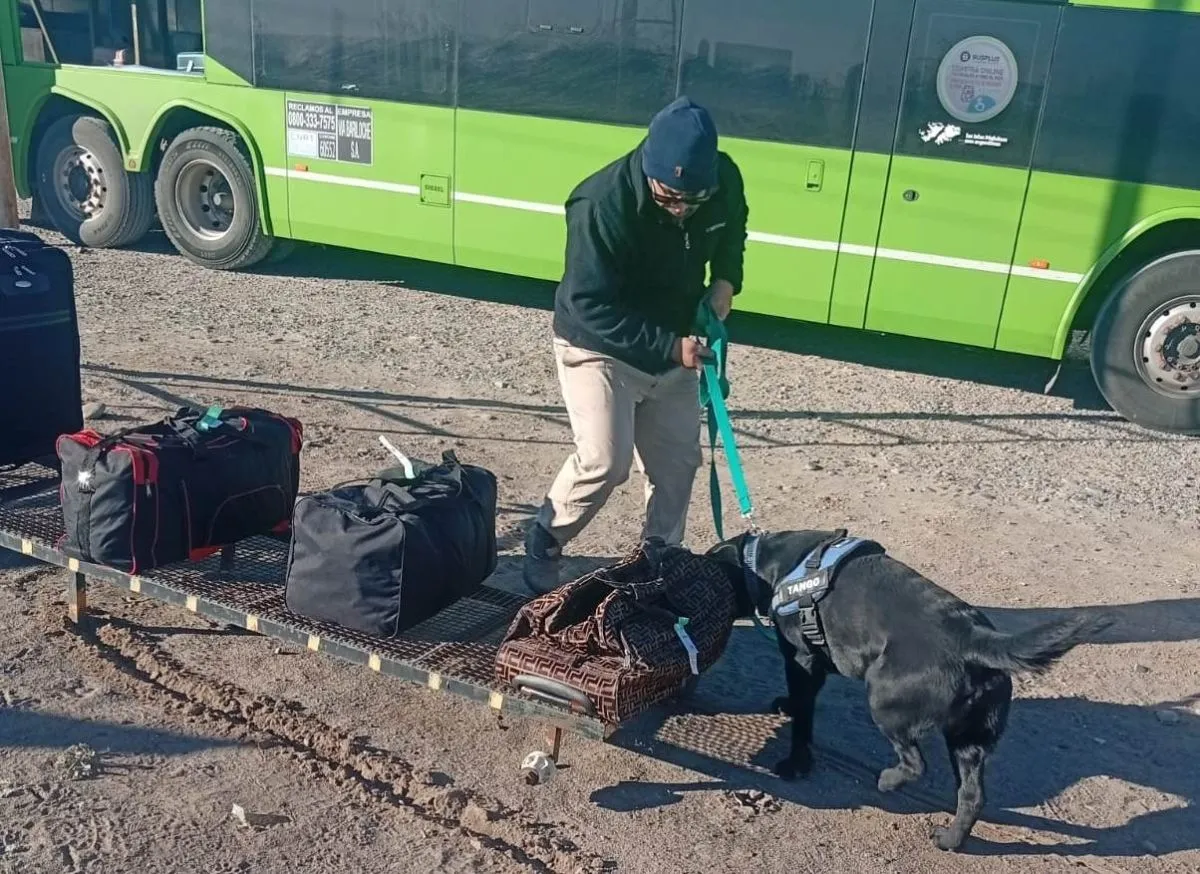 Se evitó el ingreso a la Patagonia de casi 85 toneladas de productos en infracción