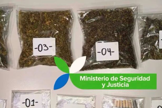 Catriel: desarticulan punto de venta de drogas