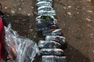 Puente Dique: secuestran hojas de coca en un control sobre la Ruta Nacional 151