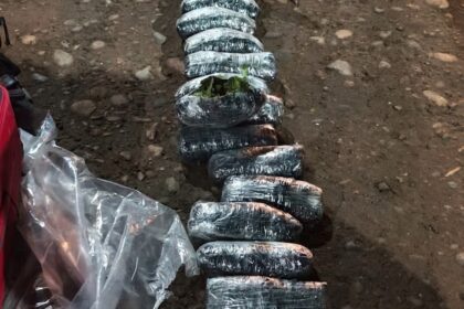 Puente Dique: secuestran hojas de coca en un control sobre la Ruta Nacional 151