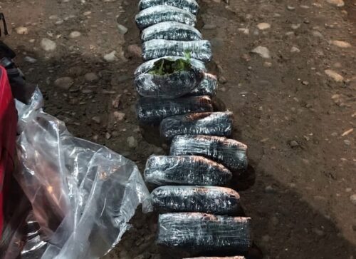 Puente Dique: secuestran hojas de coca en un control sobre la Ruta Nacional 151