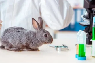 Una diputada neuquina quiere ponerle fin a las pruebas de cosméticos en animales