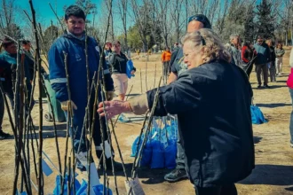 Municipio entregó árboles de producción local a los vecinos