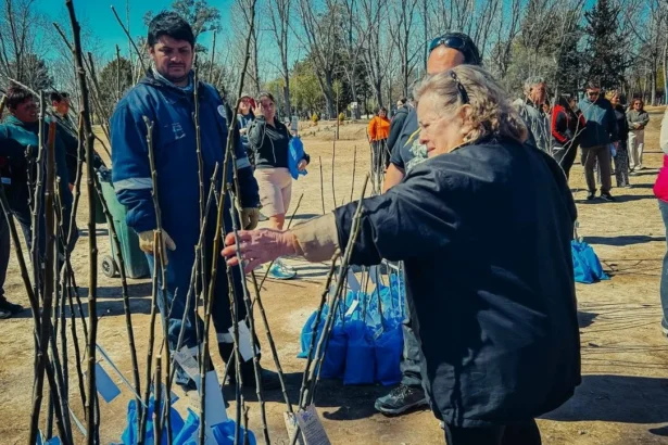 Municipio entregó árboles de producción local a los vecinos
