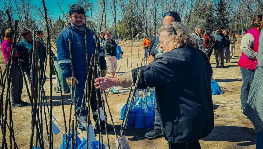 Municipio entregó árboles de producción local a los vecinos